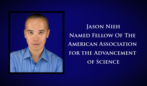 Nieh AAAS Fellow