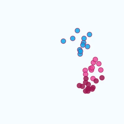 Teaser for Learning deep parsimonious representations