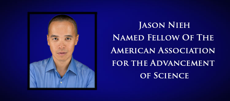 Jason Nieh AAAS fellow