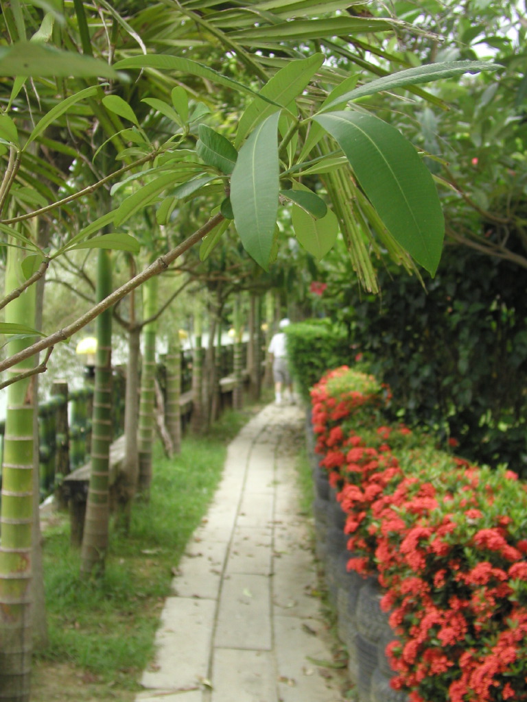 Campground Path
